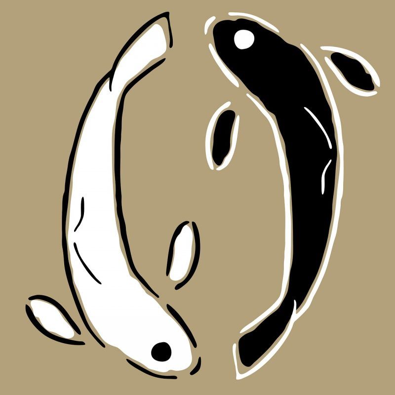 Feng Shui Blog