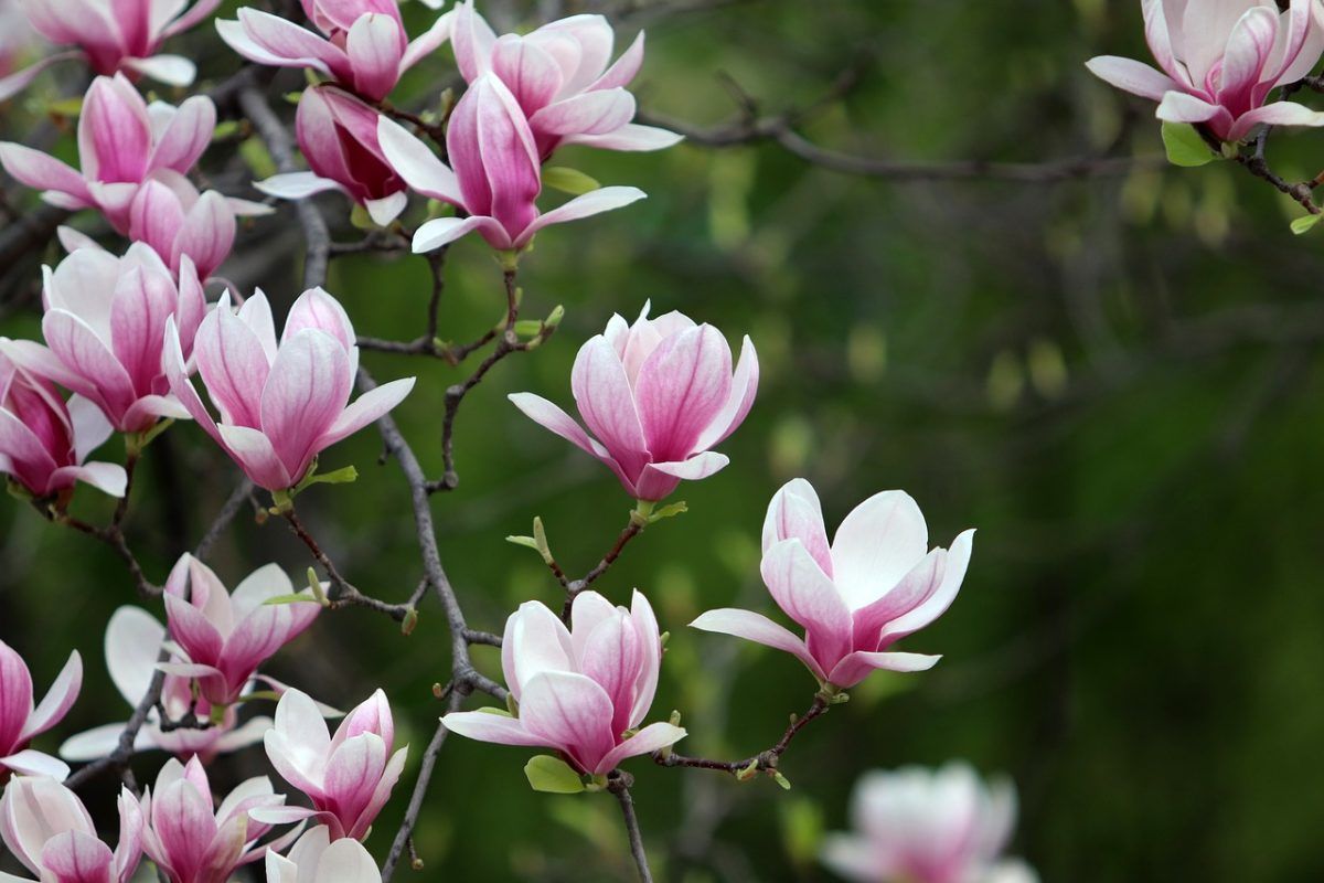 Feng Shui Blog
